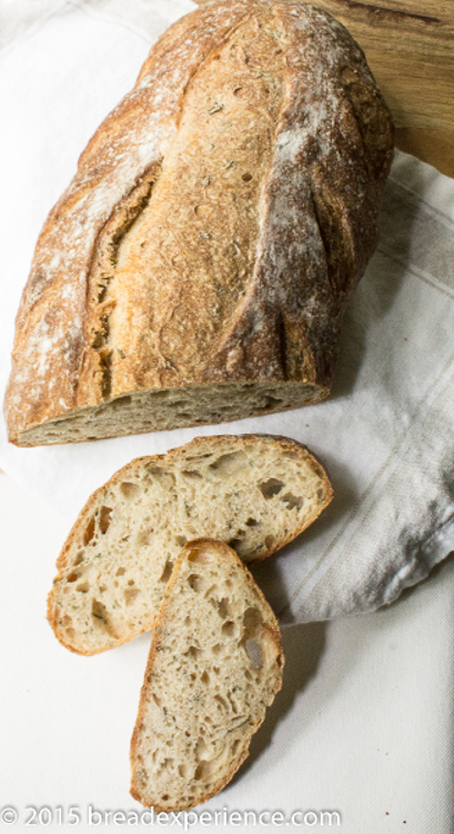 sourdough rosemary loaf crumb shot