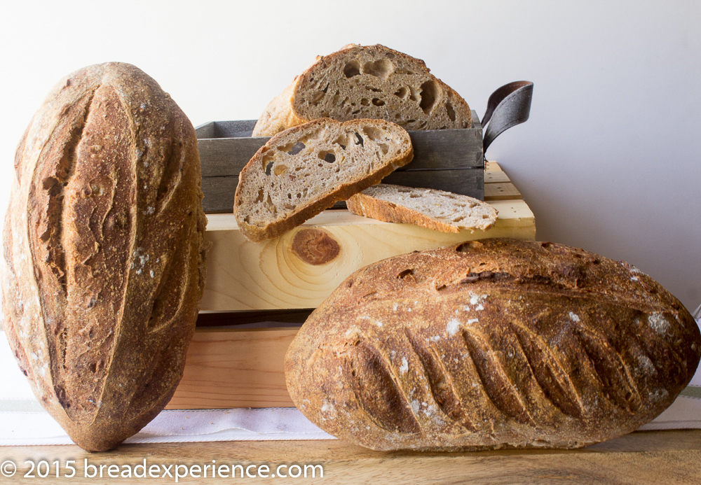 Sourdough Sprouted Wheat Loaves