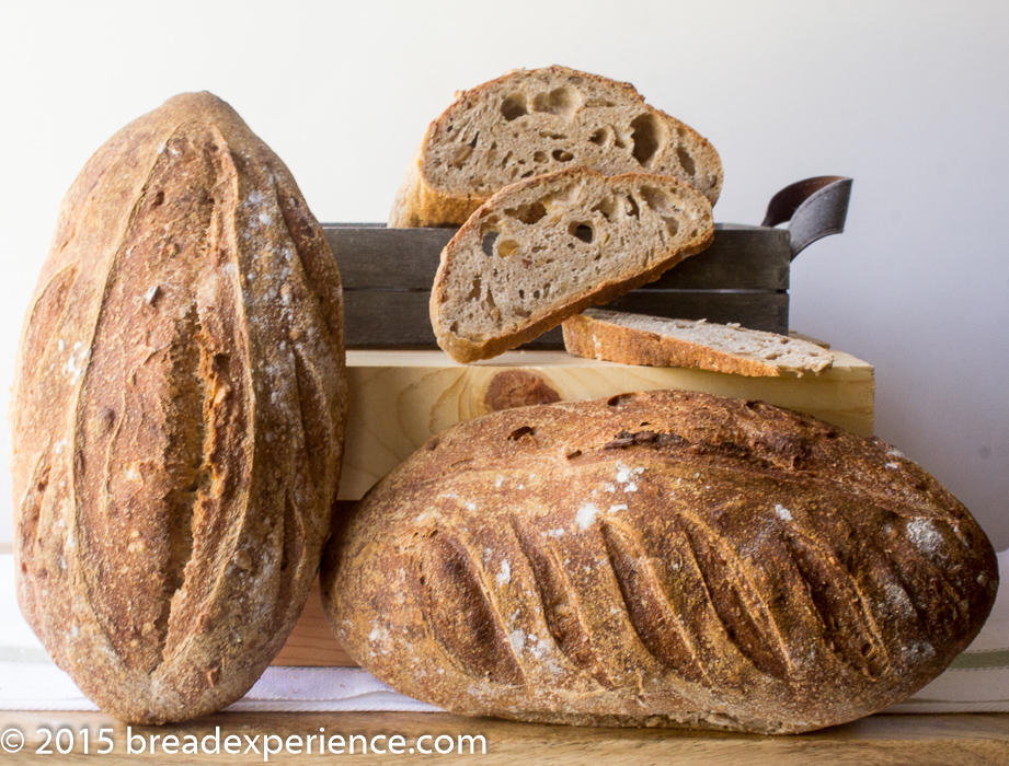 Sourdough Sprouted Wheat Loaves on display