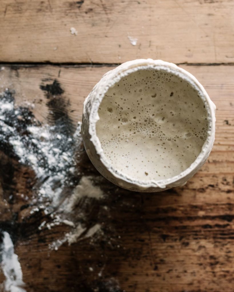How to Create a Whole Grain Sourdough Starter