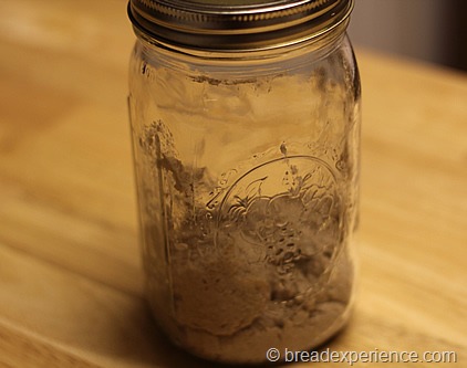 Rye Sourdough Starter