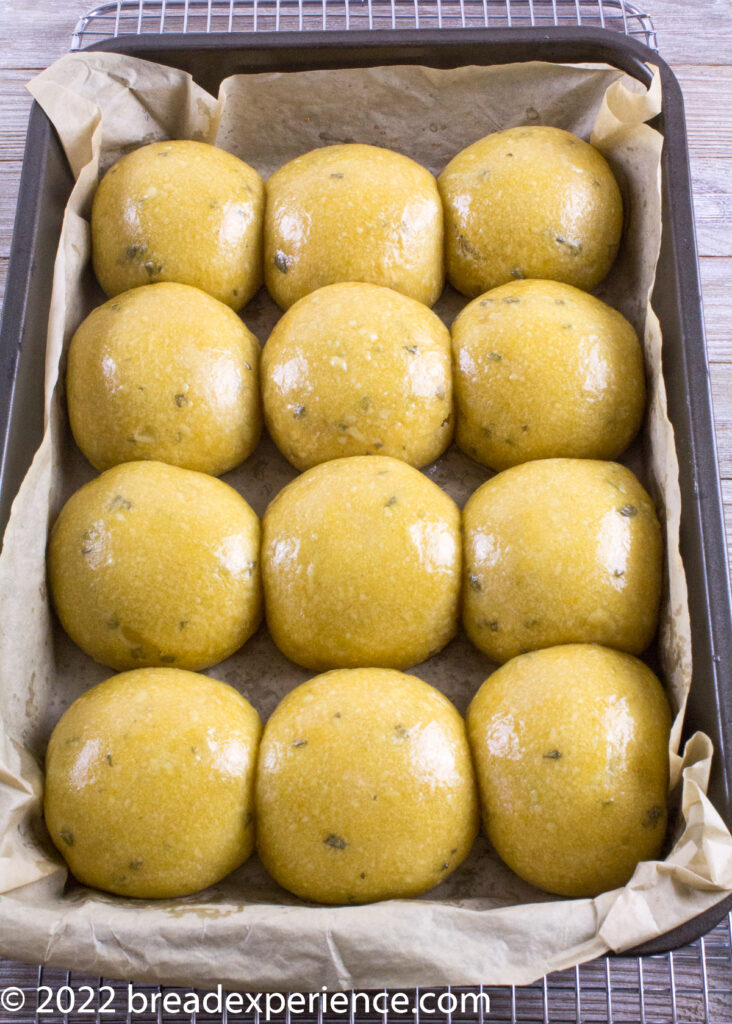 Sourdough Sweet Potato Tangzhong Rolls in Pan