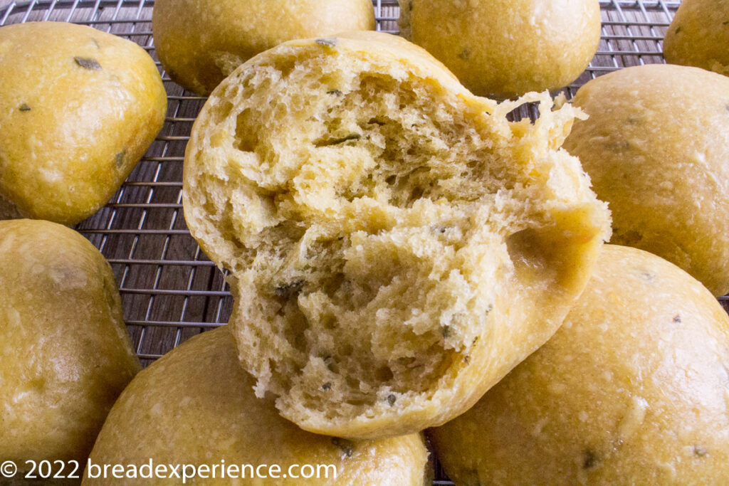 Crumb shot of fluffy Sweet Potato Tangzhong Rolls