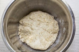 sourdough-toasted-cornmeal-bread-1-11