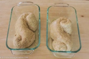 sourdough-toasted-cornmeal-bread-1-9