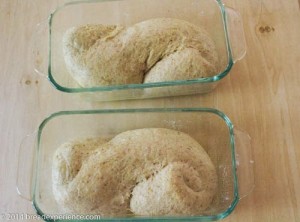 sourdough-toasted-cornmeal-bread-3-2