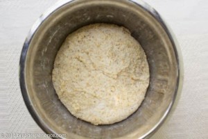 sourdough-toasted-cornmeal-bread-5-3