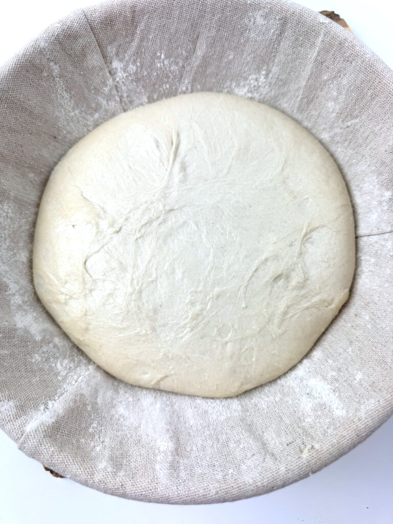 Basic Sourdough Loaf after 20 hour cold bulk ferment in the refrigerator