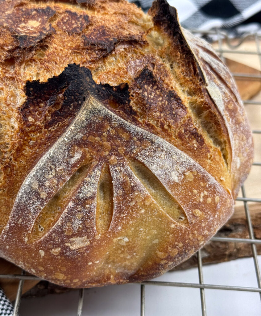 Simple Sourdough Boule – A Foundation Loaf for Learning Dough Cues