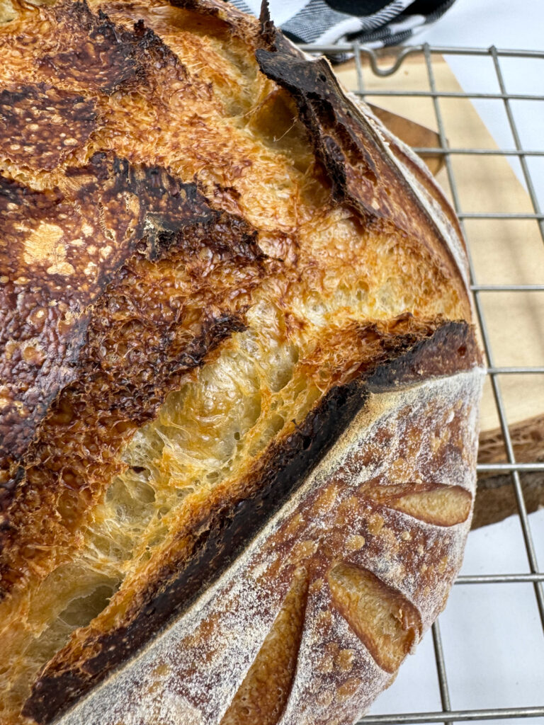 Simple Sourdough Boule – A Foundation Loaf for Learning Dough Cues