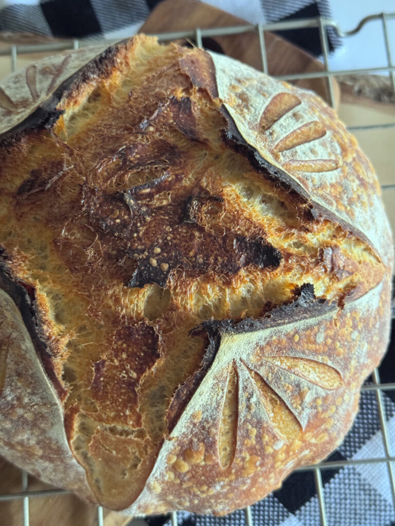 Basic Sourdough Loaf | Foundation Boule 