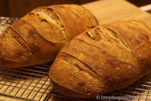 Sourdough Bread Cooling on Rack