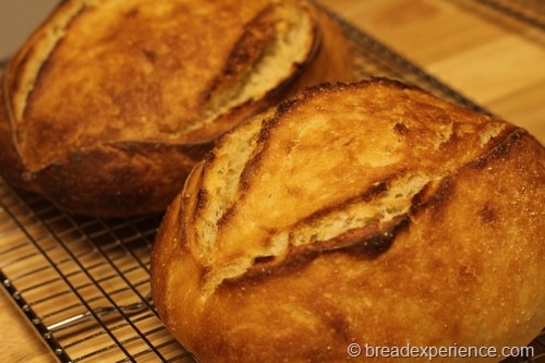 Sourdough Bread cooling on wire rack