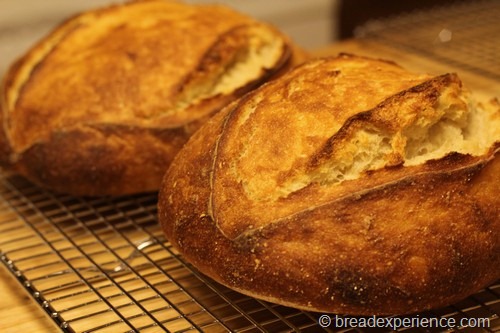 Sourdough Breads Cooling