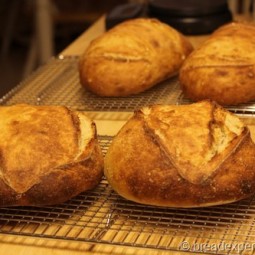 Classic Sourdough Bread