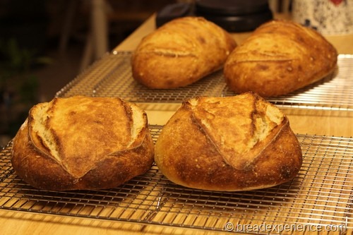 Making Sourdough Bread 01