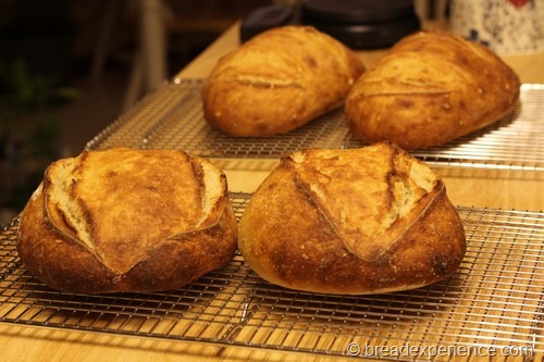 Classic Sourdough Bread