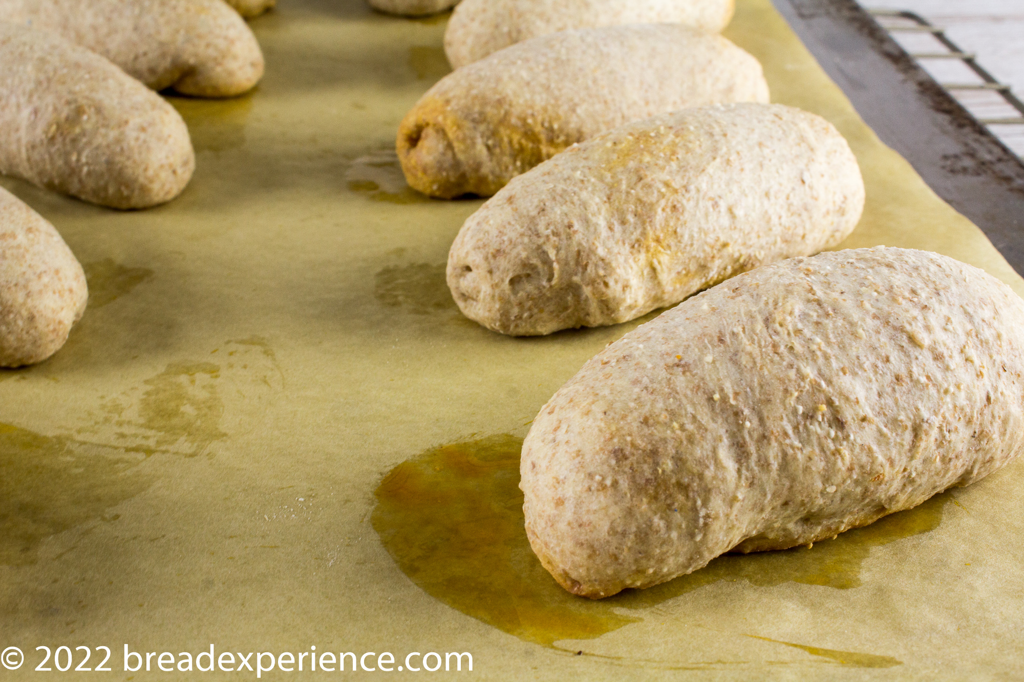 baked rolls on parchment