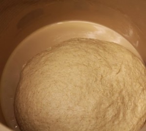 spelt-country-french-bread_109
