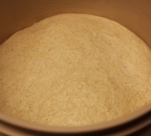 spelt-country-french-bread_111