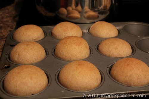 Honey Spelt Dinner Rolls in pan