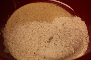 spelt-levain004