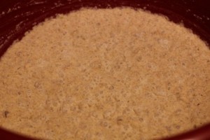 spelt-levain006