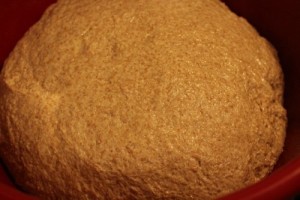 spelt-levain013