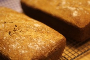 spelt-levain025