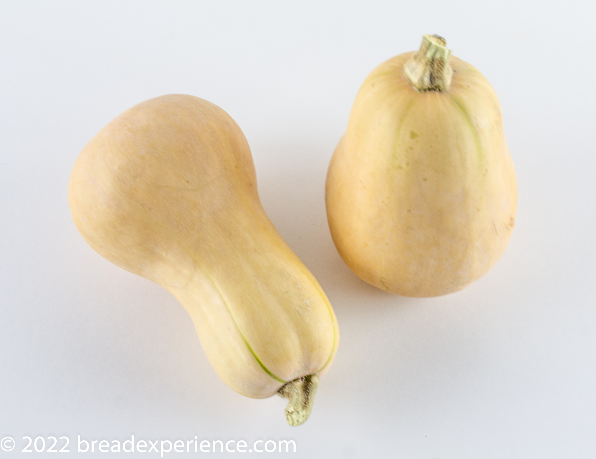 butternut squash