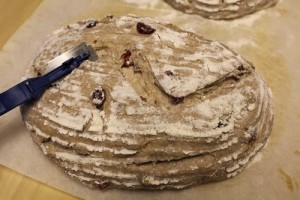 spelt-rye-cranberry-walnut-loaf_220