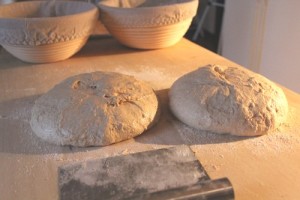 spelt-sourdough-einkorn-kamut_214