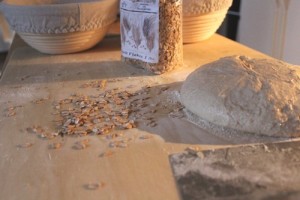 spelt-sourdough-einkorn-kamut_215