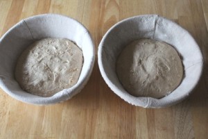 spelt-sourdough-einkorn-kamut_220