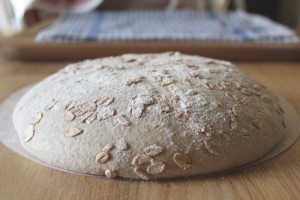 spelt-sourdough-einkorn-kamut_402