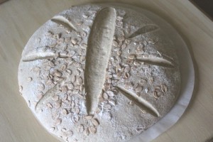 spelt-sourdough-einkorn-kamut_416