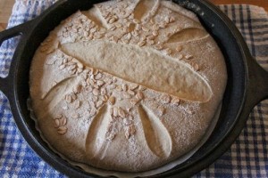 spelt-sourdough-einkorn-kamut_431