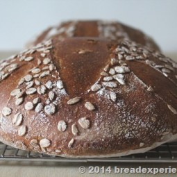 spelt-sourdough-einkorn-kamut_440_thumb-25255B2-25255D