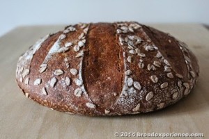 spelt-sourdough-einkorn-kamut_455