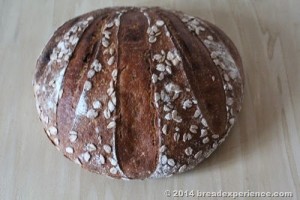 spelt-sourdough-einkorn-kamut_456