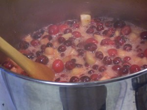 spiced-cranberry-preserves 020