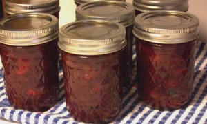 spiced-cranberry-preserves 024