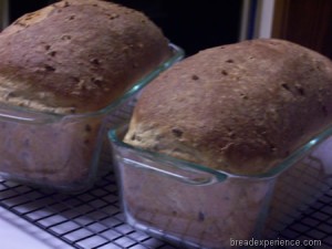 sprouted-barley-bread 031