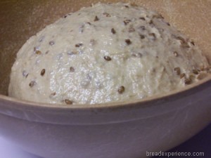 sprouted-einkorn-bread 012