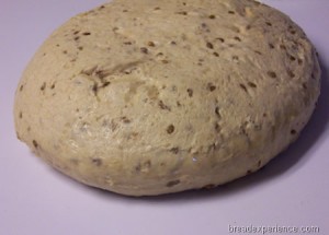 sprouted-einkorn-bread 013