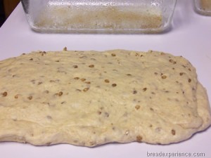 sprouted-einkorn-bread 015