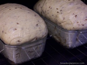 sprouted-einkorn-bread 020