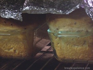 sprouted-einkorn-bread 023