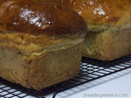 Sprouted Einkorn Bread