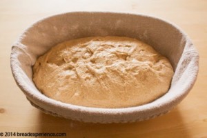 sprouted-kamut-flour-bread-1-12
